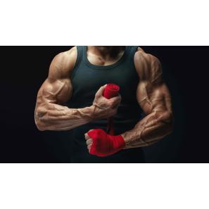 ¿Qué es mejor el boxeo o el gimnasio?