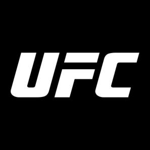 ¿Qué es UFC?