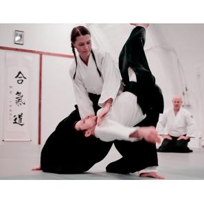 What is aikido?