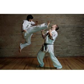 Artes marciales más practicadas en España