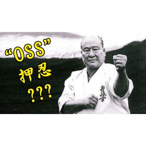 What does OSS mean in martial arts?